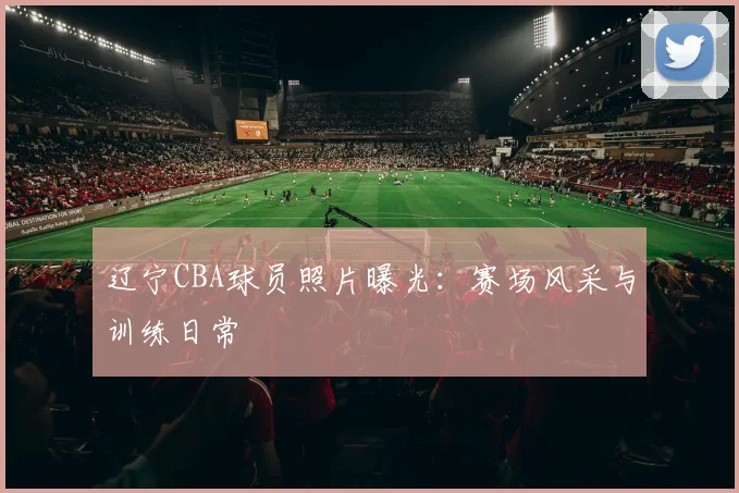 辽宁CBA球员照片曝光：赛场风采与训练日常