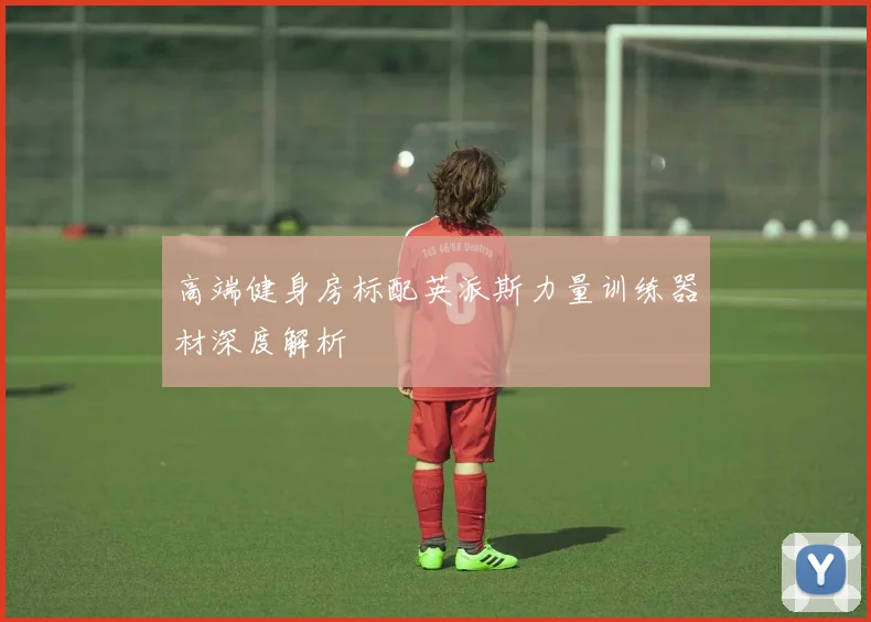 高端健身房标配英派斯力量训练器材深度解析