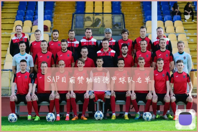 SAP目前赞助的德甲球队名单