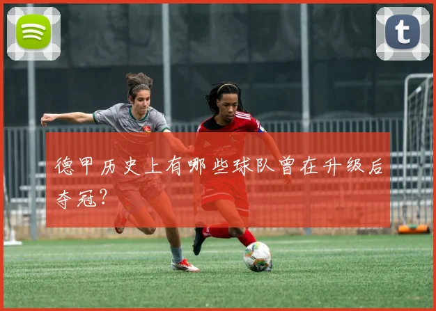 德甲历史上有哪些球队曾在升级后夺冠？